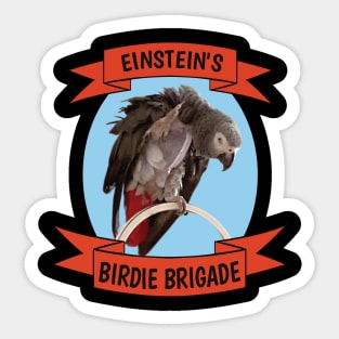 Birdie Brigade African Grey Parrot - Bare Chest Sticker